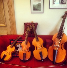 Image viols on sofa